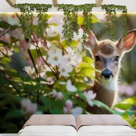 Πάρκο διακοπών Prime - Event & Relax