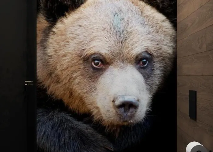 Πάρκο διακοπών Prime - Event & Relax *